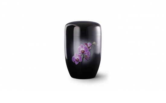Fleur Noire Orchidee   <small>(Vö-36F)</small>